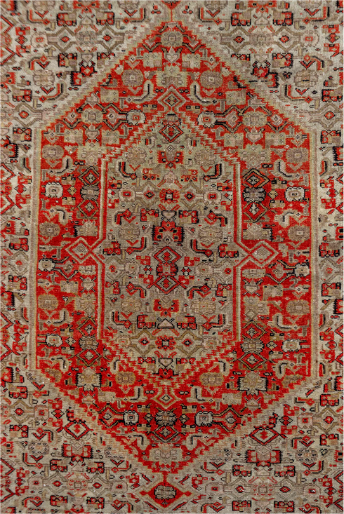Antique Senne Area Rug (4' x 6')